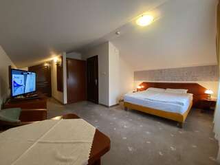 Отель Hotel Grant Крыница-Здруй Двухместный номер с 1 кроватью и видом на горы-2